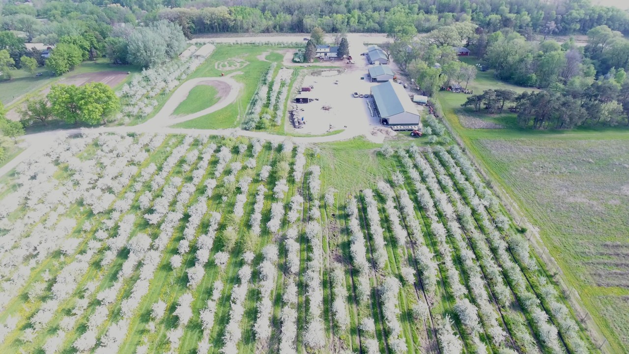 Apple Orchard for Sale